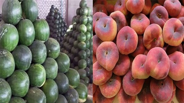 بيان عاجل..الحكومة تحسم الجدل بشأن انتشار بطيخ وخوخ وطماطم مسممة بالأسواق