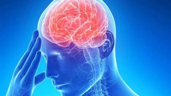 كارثة جديدة تهدد العالم..ما هو فيروس الحصان الحزين القاتل؟