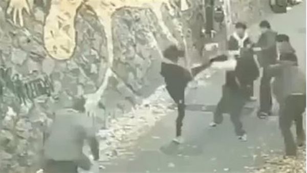 على طريقة جاكي شان.. فتاة تهزم 6 رجال حاولوا التحرش بها | فيديو