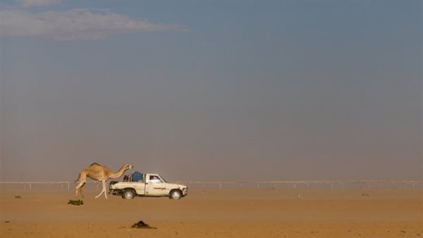 المكالمة الأخيرة.. تفاصيل صادمة في وفاة كويتي وطفله عطشًا في صحراء السعودية