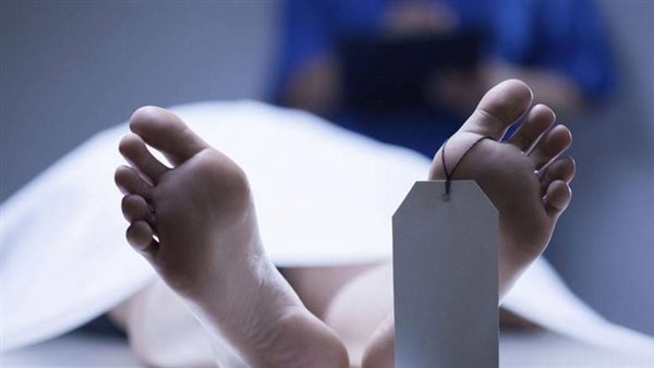 ذبحها بعد وصلة تعذيب.. قرار جديد في محاكمة طالب الهندسة المتهم بقتل المعلمة الصائمة في الدقهلية