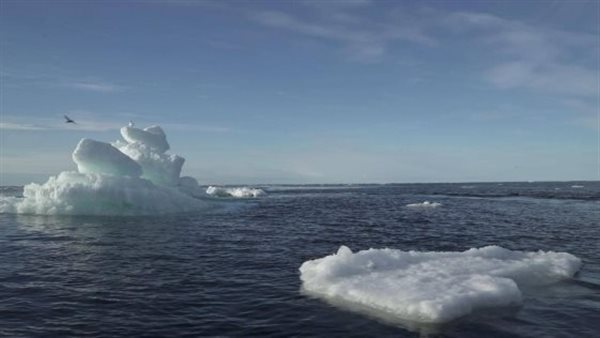  خطر مقبل ينذر بكارثة عالمية.. دراسة تحذر من «جليد يوم القيامة» | فيديو