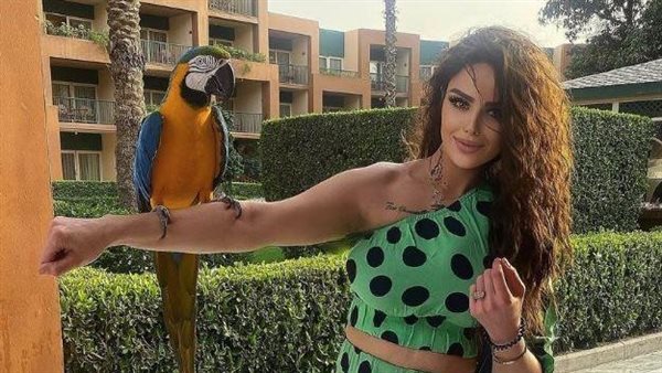 أنا ماليش في الغلط.. رحيل ذكري تبكي بسبب محمد الشقنقيري