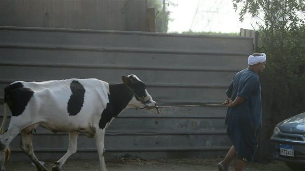  حبس وغرامة.. عادات لا تفعلها خلال أيام عيد الأضحى تجنبًا للعقوبة