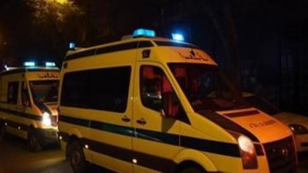 خناقة على القايمة.. تفاصيل صادمة في تمزيق عريس جسد حماه بـ 25 طعنة بالمنوفية