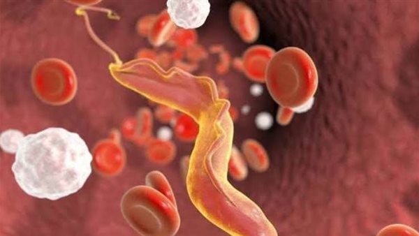 ظهر بأفريقيا وليس له علاج.. فيروس جديد يحول المصابين لأشباح قبل الموت