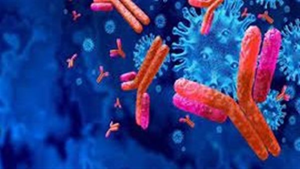 حمى شديدة وصداع.. الصحة العالمية تحذر من فيروس يقتل المصاب خلال 3 أيام | فيديو