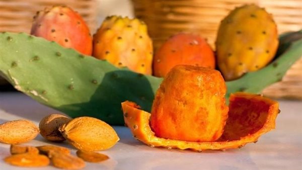 محبوب المصريين.. ما الذي يحدث لجسمك إذا تناولت التين الشوكي بكثرة؟