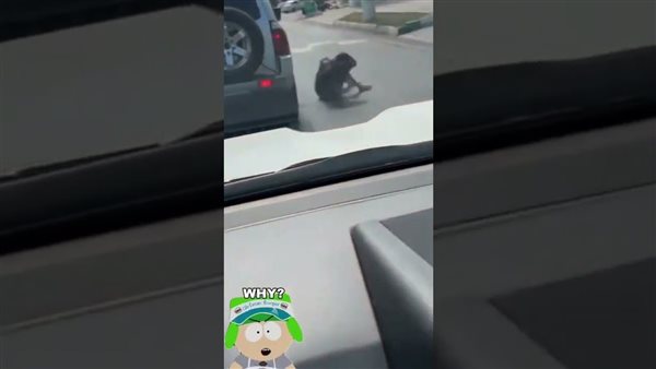 سقطت من نافذة السيارة.. حادث مروع لفتاة أثناء تصوير مقطع «تيك توك» | فيديو