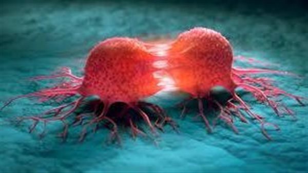 احذر.. شاي شهير قد يكون مرتبطا بزيادة خطر الإصابة بالسرطان