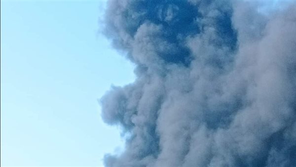 منظر مرعب.. سبب حريق كارفور الأسكندرية | فيديو 