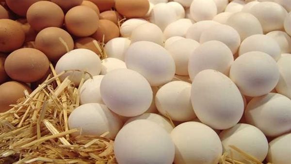 أسعار وهمية.. شعبة الدواجن توضح سعر البيض الحقيقي للمواطن 