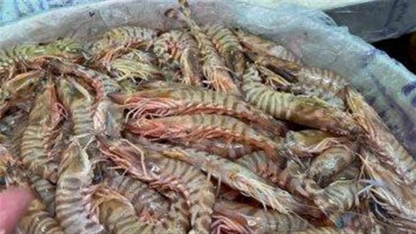 يباع بـ 10 جنيهات في الأسواق.. أستاذ بسموم الإسكندرية تحذر من الجمبري الكداب