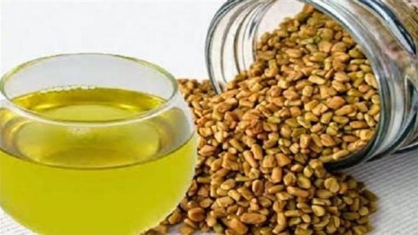 بينها خفض نسبة السكر بالدم والوقاية من الالتهابات..6 فوائد مذهلة لـ«الحلبة» احرص عليها