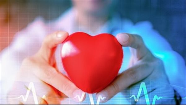 من أفضل الأطعمة لوقف انسداد الشرايين..هذه البذور تعمل على خفض الكوليسترول