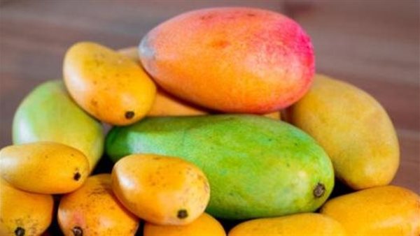 5 مشكلات صحية منها الإضرار بالكلى..ماذا يحدث لجسمك إذا أفرطت في أكل المانجو؟