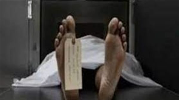 صرخات واستغاثات.. القصة الكاملة لمقتل فتاة قبيلة البياضية بالإسماعيلية 