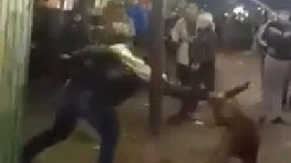 مبيسمعش الكلام.. تفاصيل ضبط شاب عذب كلبًا حتى الموت في القاهرة