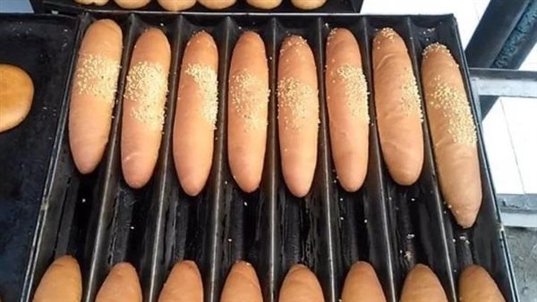 بعد قرار وزير التموين.. بشرى سارة من شعبة المخابز بشأن سعر رغيف الفينو