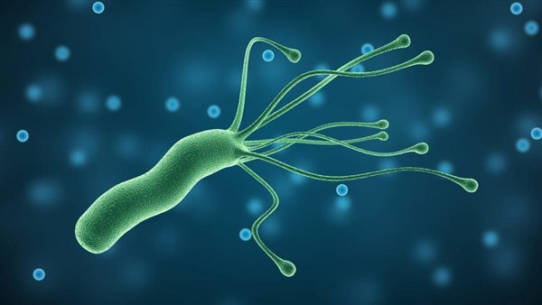 احذر..إذا شعرت بهذا العرض فأنت مصاب بجرثومة المعدة