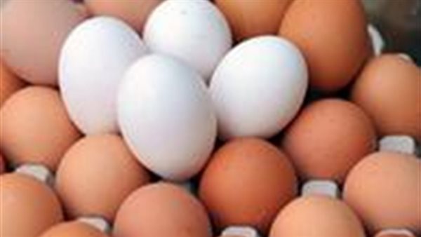 اليوم العالمي لـ البيض.. 10 فوائد صحية تحدث للجسم عند تناوله