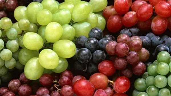 منها الخرف.. تناول العنب يقلل من الإصابة بأمراض خطيرة
