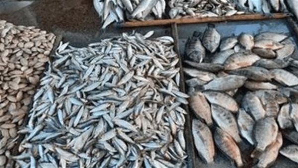 توقف عن تناوله فورا.. نوع من الأسماك ينتشر بالأسواق يسبب السرطان