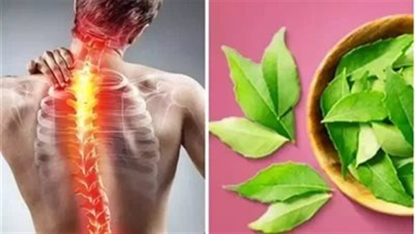 مهما كان شديد.. أوراق تزيل آلام الكتف والظهر من الجذور 