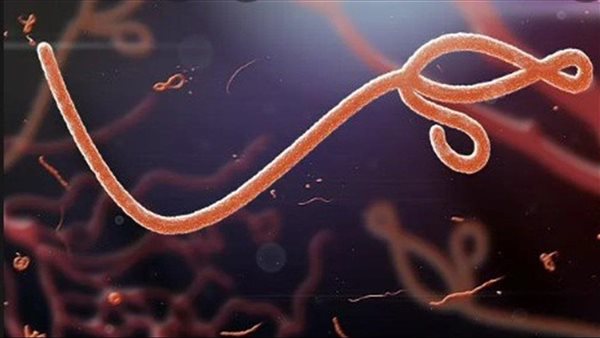 مهيأ للانتقال إلى البشر.. علماء يحذرون من فيروس قاتل