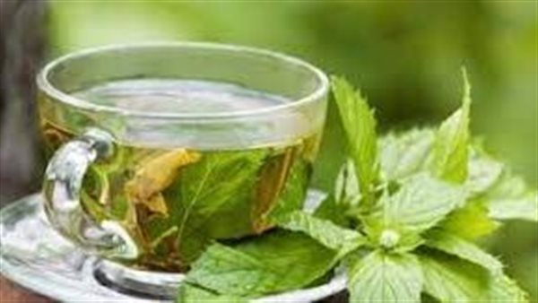 أضرار كارثية.. تحذير خطير من الإفراط في تناول الشاي الأخضر