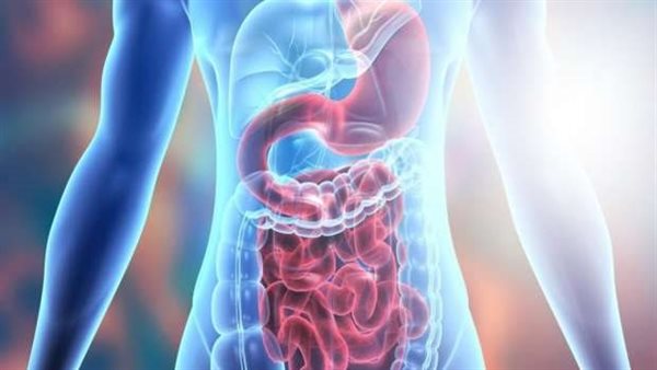 يؤثر على الكليتين والقلب.. أعراض التهاب البنكرياس وطرق العلاج 