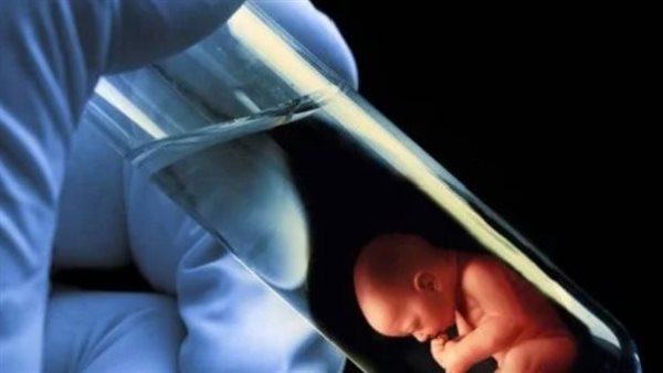 اشتراك 3 أفراد في إنجاب الطفل.. بيان ناري من برلماني بعد الترويج للإخصاب الصناعي الثلاثي
