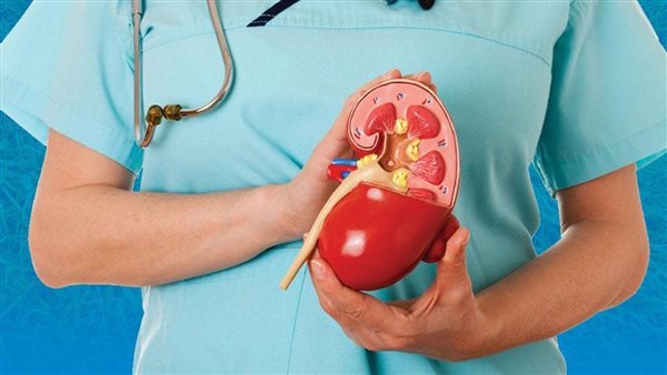 أعراض شائعة وغريبة.. علامات تكشف إصابتك بالتهاب الكلى