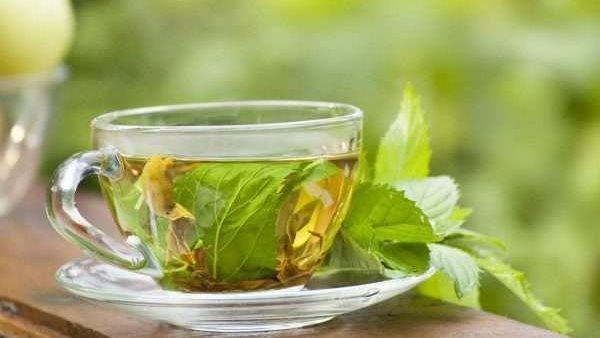 هذا ما يفعله بجسمك..هل شرب الشاي بالنعناع بعد الغداء يوميا عادة سليمة؟