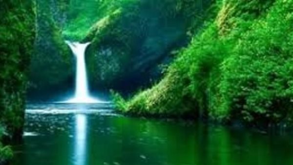 5 أفعال بسيطة احرص على فعلها.. كيف تبني لك بيتا في الجنة؟