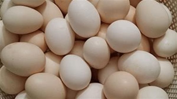 لن تتوقع تأثيره.. هذا ما يحدث لجسمك عند تناول بيضة مسلوقة يوميا 