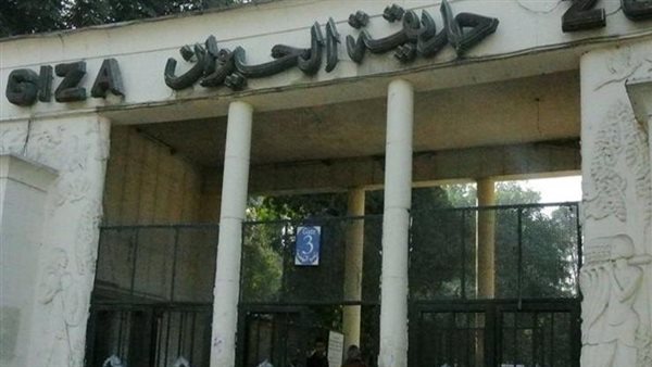 الزراعة تكشف حقيقة غلق حديقة الحيوان الأسبوع المقبل لمدة عام