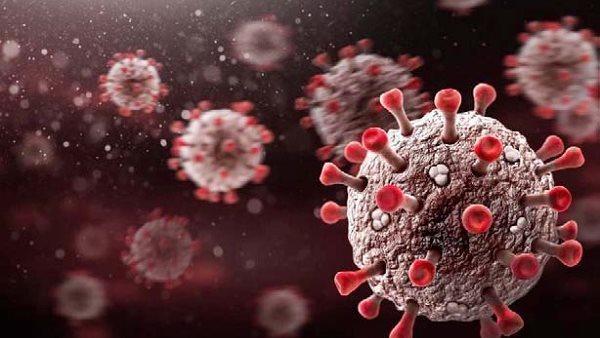 متحور يوم القيامة.. 4 أعراض للفيروس وحقيقة دخوله إلى مصر | فيديو