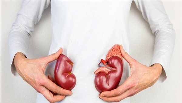  خد بالك.. 10 عادات يومية تفعلها تضر بصحة الكلى