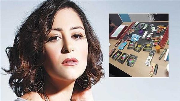 بعد حكم حبسها عاما مع إيقاف التنفيذ.. تفاصيل الصحيفة الجنائية للفنانة منة شلبي 