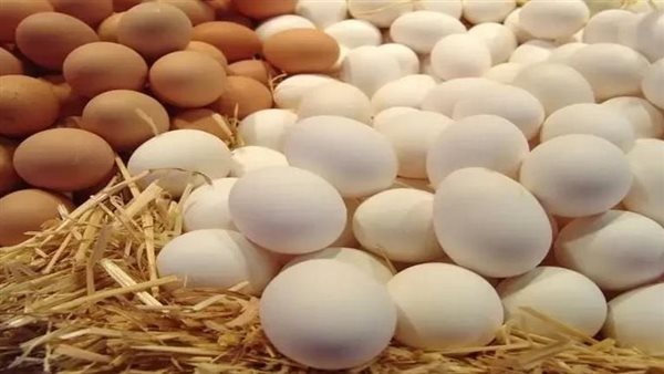 انتشار البيض المخصب في الأسواق.. كيف تعرف الفرق بينه وبينه العادي؟ | فيديو