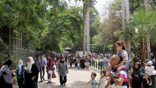 الحكومة تحسم الجدل وتكشف حقيقة تجريف أشجار حديقة الحيوان بالجيزة