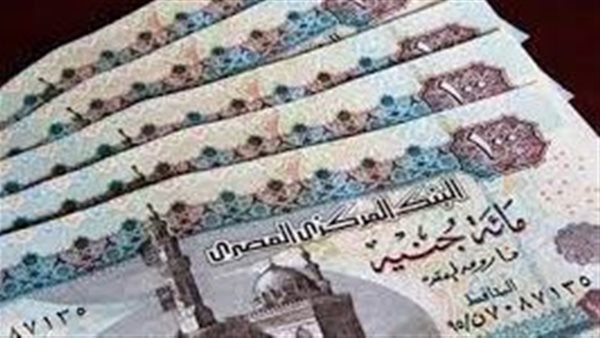 100 جنيه ربح يومي.. قصة تطبيق جديد في مصر تثير الجدل