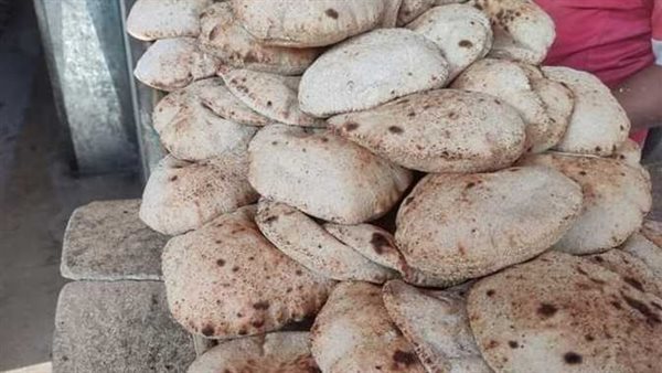 كارت الخبز.. شعبة المخابز تعلن السعر النهائي لرغيف العيش لغير حاملي بطاقات التموين