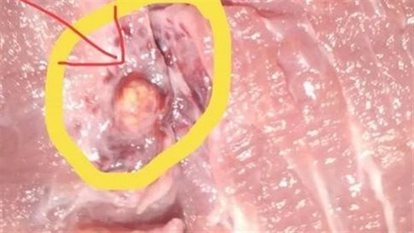 كارثة جديدة.. علامة غير متوقعة في اللحمة تؤكد أنها فاسدة 