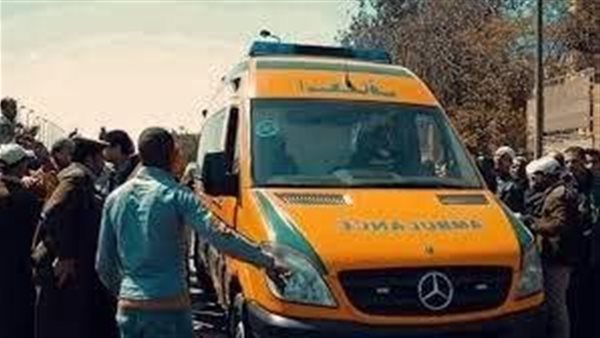 خنقه ورمى جثته في الترعة.. كشف لغز مقتل مريض نفسي بالقاهرة