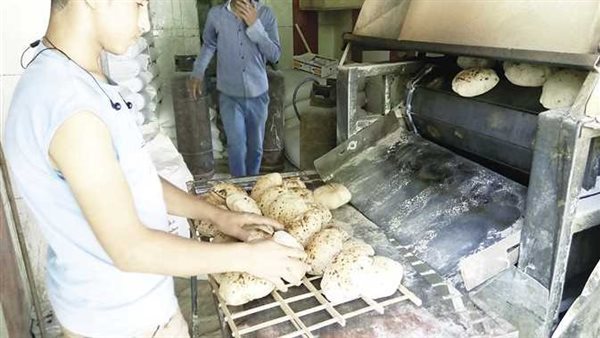 أين يباع العيش والكارت؟.. ما هو موعد بدء كارت الخبز الجديد وسعر الرغيف؟