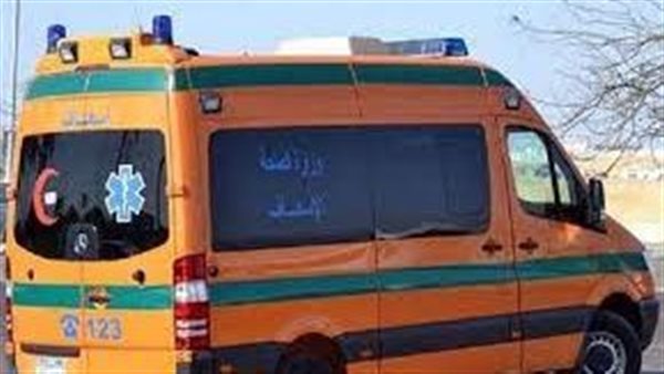 بسبب مكالمة.. طالب إعدادي يمزق جسد زميله في سوهاج