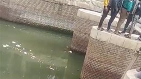 حيلة شيطانية.. شاب يقتل ابن عمه ويلقي جثته برشاح المرج