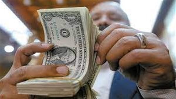 الحكومة تحسم الجدل.. حقيقة استقطاع جزء من تحويلات المصريين في الخارج للدولة